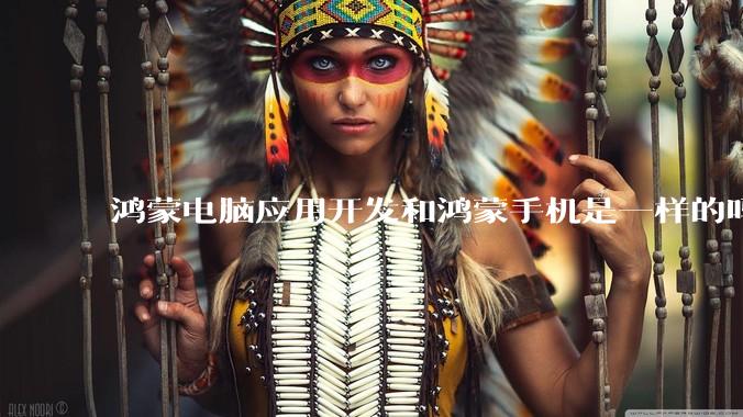 鸿蒙电脑应用开发和鸿蒙手机是一样的吗？