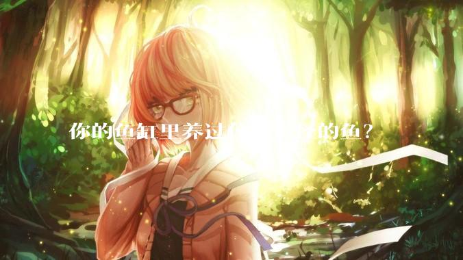 你的鱼缸里养过什么奇怪的鱼？